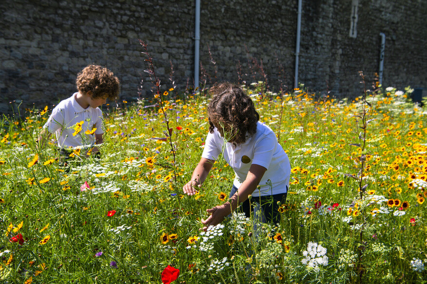 See The Tower in Superbloom