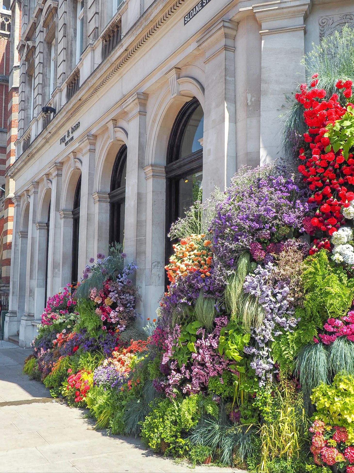 Belgravia in Bloom!