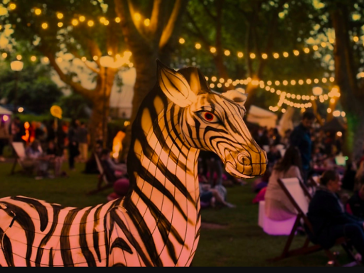 Discover London Zoo After Dark!