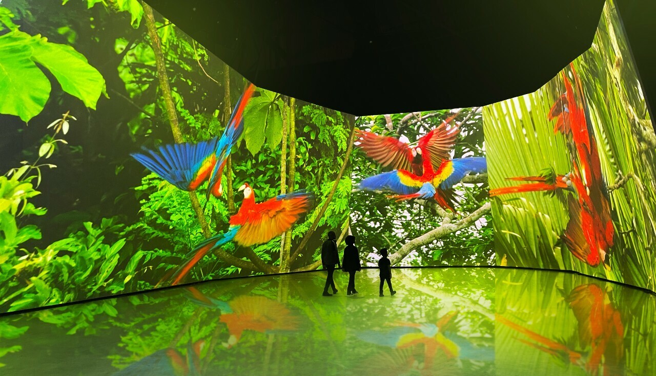 BBC Earth Experience: Step into the world as you've never seen it before!